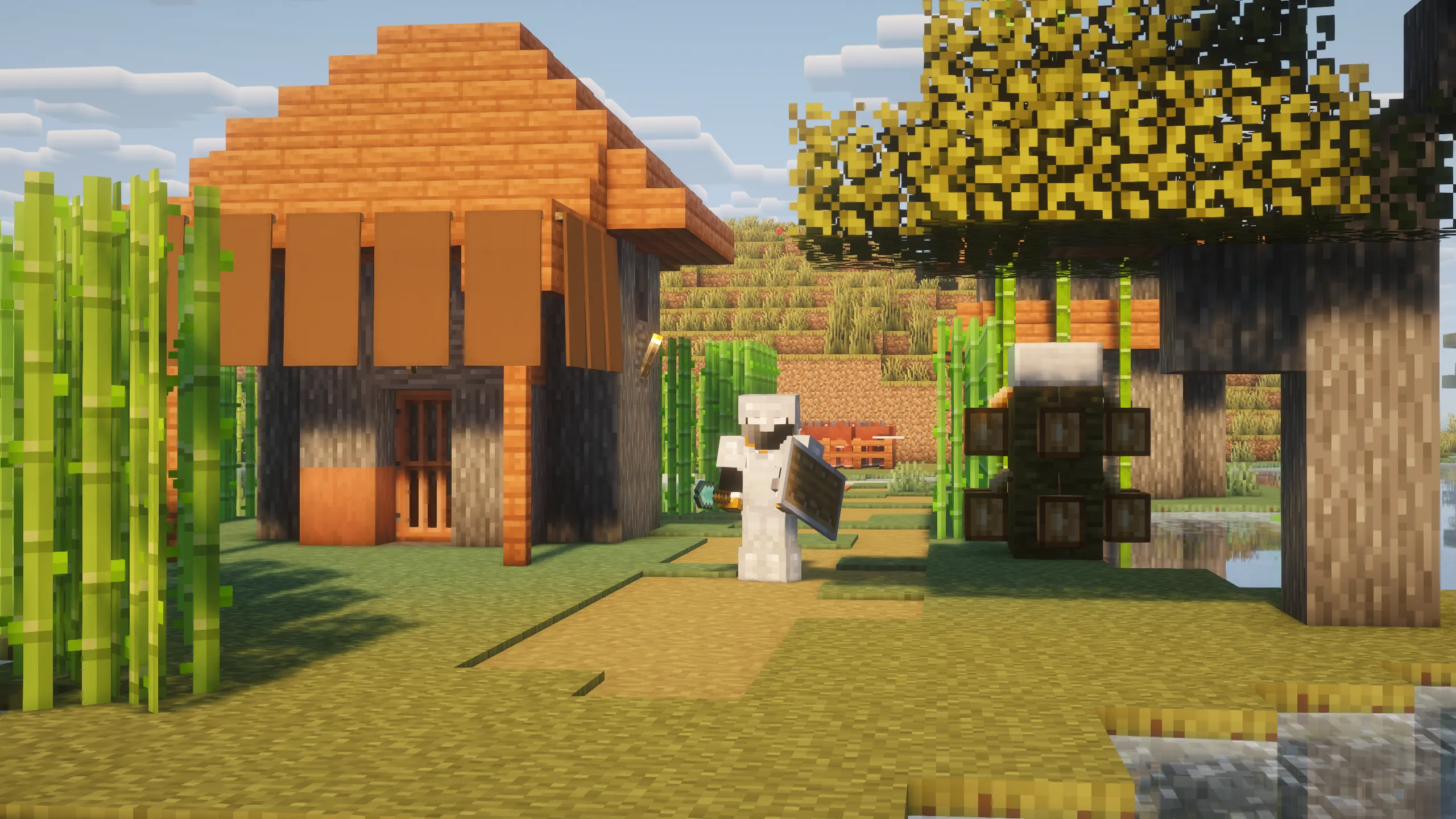 A New Beginning SMP